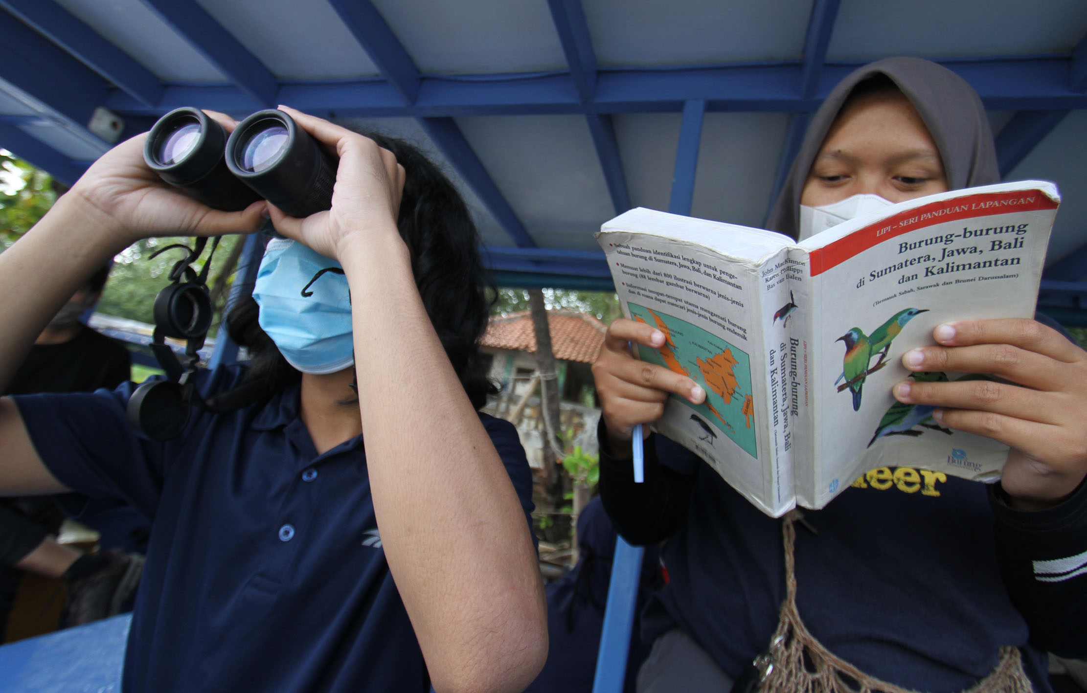 Hari Burung Migrasi Sedunia Edukasi Pelestarian Burung Di Pesisir