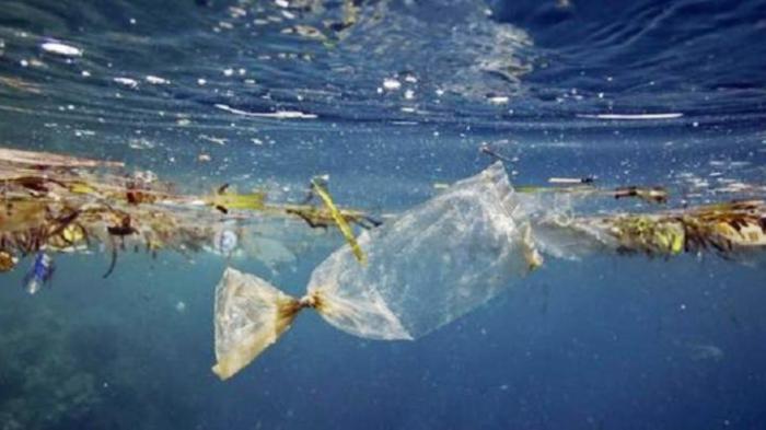 Buang Sampah  Botol dan Plastik  Sembarangan di  Pantai akan 