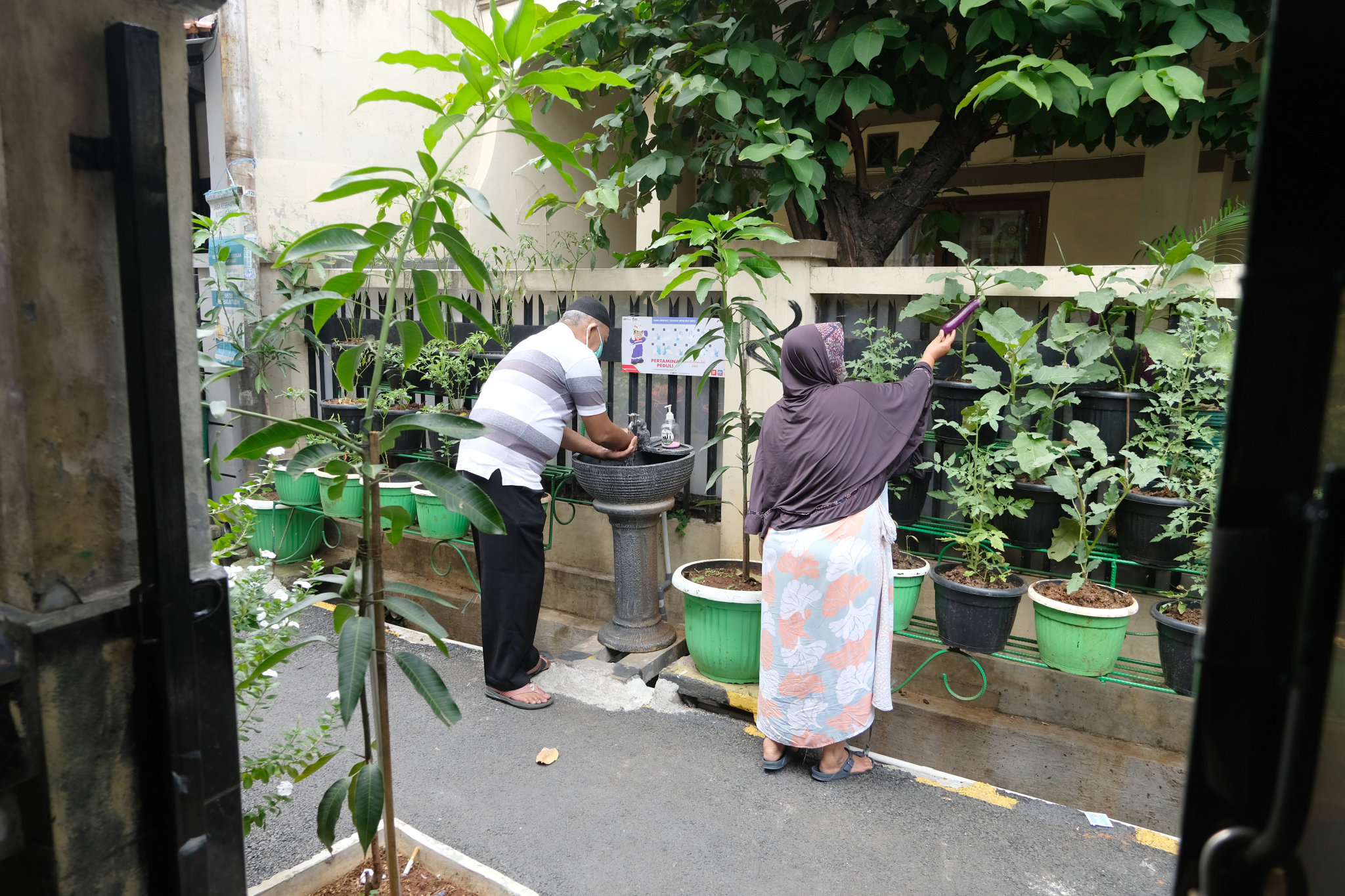 Mengunjungi Kampung Sehat Pemukiman Padat Jakarta Trenasia